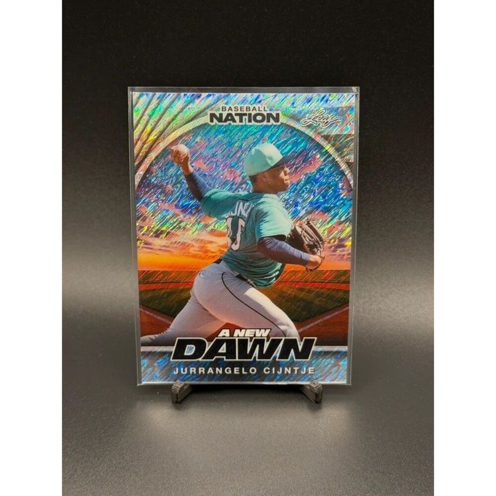 Jurrangelo Cintje Silver Rainbow Numbered 2/15